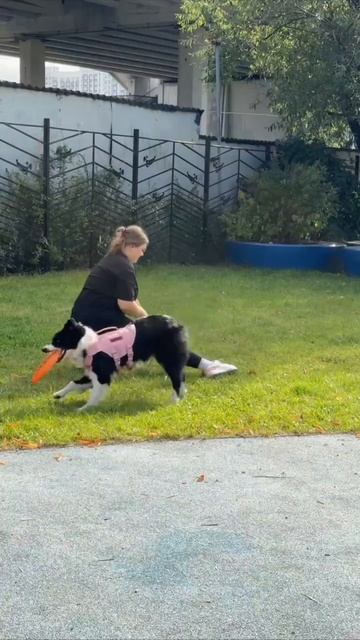 БК Рэй - барьер через ногу