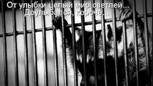 От улыбки | шансон