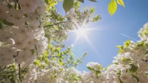 МЕДИТАЦИЯ НА ВОССТАНОВЛЕНИЕ ВСЕХ СИСТЕМ С ХОРЧЕК