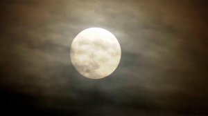 В ночь на 6 ноября можно наблюдать самую крупную полную Луну