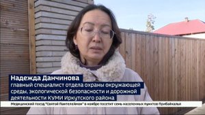 В СНТ «Зеленый сад» Иркутского района три алабая уже несколько лет держат в страхе местных жителей