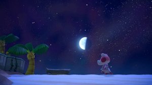 Пляжная разминка в ночи