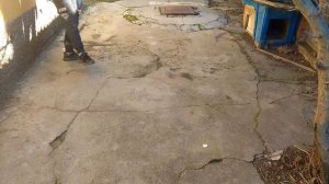 Демурзель погулять на улице 😊