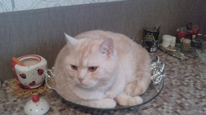 Васька, будь другом. Повесь курточку!!😆