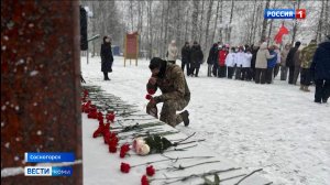 В Сосногорске в День народного единства открыли Аллею славы