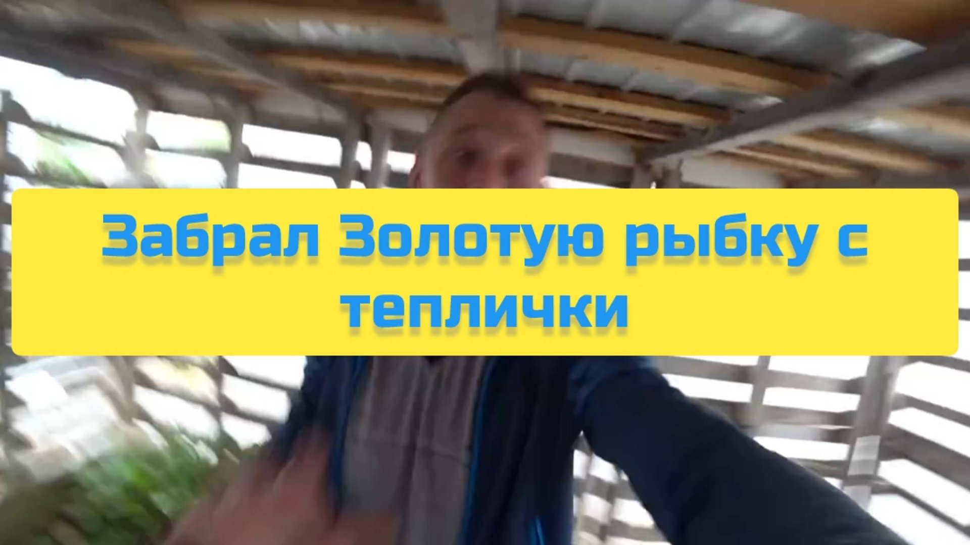 ЗАБРАЛ ЗОЛОТУЮ РЫБКУ С ТЕПЛИЧКИ смотреть онлайн