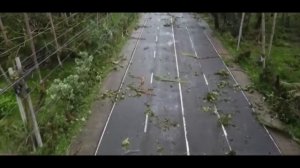 Видео от Аварийка LIVE | ДТП и ЧП России