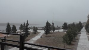 дембель (Вид 1)