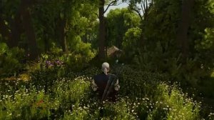 Witcher 3 The Nature of Toussaint Ambience Music