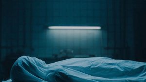 video_Глава 5, Дело было в "Грибоедове"