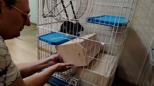 Новое жилье для наших любимцев