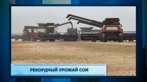 Рекордный урожай сои