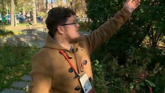 Здравствуйте ТНВ 03/11/2025