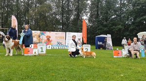 20.09.2025, СПб. Клуб "Северная Венеция-2" (РКФ, РФОС). Выставка собак "ОСЕНЬ НА НЕВЕ" (САС, ЧФ)