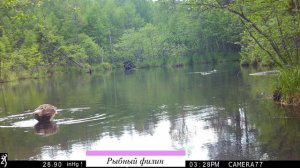 Номинация ЭКОЛОГИЯ: 2 место «Заповедные сюжеты» - Ирина Костомарова