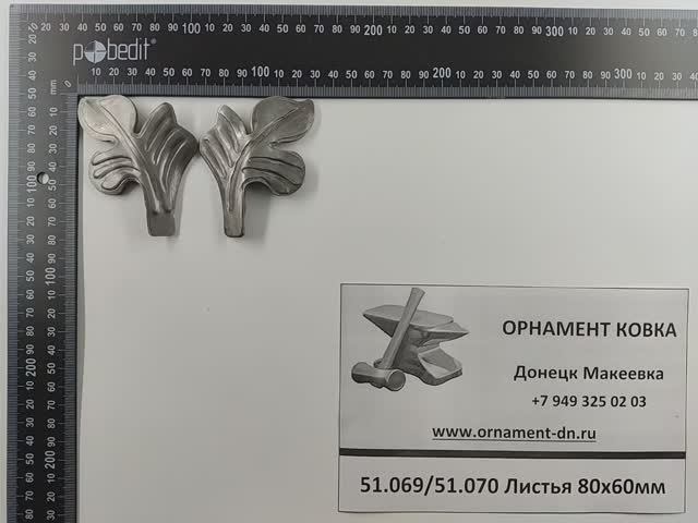 51.070 Лист 80х60х2 мм