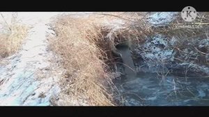 Енакиево слив городской канализации в реку Садки !!! Где водные ресурсы? Куда смотрит администрация?