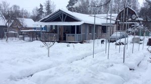 Укрывать? Не укрывать? Растения на зиму. Часть 2