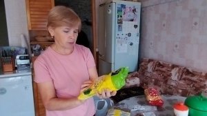 ИЗ ГОРОДА В ДЕРЕВНЮ.Хроника дня.