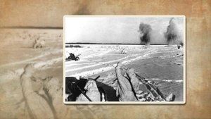 Белковский Дмитрий