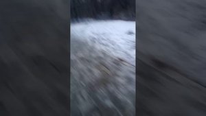 я в Хабаровске