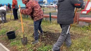 Озеленение на улице Сураева-Королёва