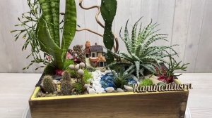 Композиция из кактусов и суккулентов в деревянном кашпо
