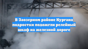 В Заозерном районе Кургана подростки подожгли релейный шкаф на железной дороге