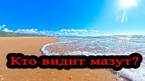 В поисках мазута 4 ноября  2025 Витязево Анапа