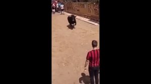 смешные видео тока