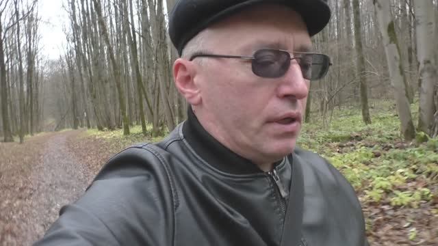 Прогулка по лесу в начале ноября. Годичный цикл природных съёмок завершён!