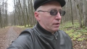 Прогулка по лесу в начале ноября. Годичный цикл природных съёмок завершён!