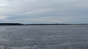 Обь ледостав. Сургут. 05-11-2025