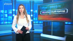 БГ. Полицейские раскрыли кражу шоколада из магазина