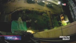 Спасатели вызволили кота с пятого этажа дома в Москве / Город новостей на ТВЦ