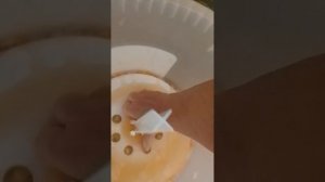 Ведро для засолки с прессом.