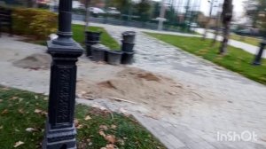 Гуляем с Боней