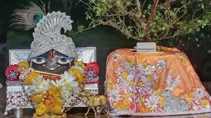 05/11/25 Лекция Туласи-Шалаграма Виваха - ЕМ Ачинтья Ачьюта пр