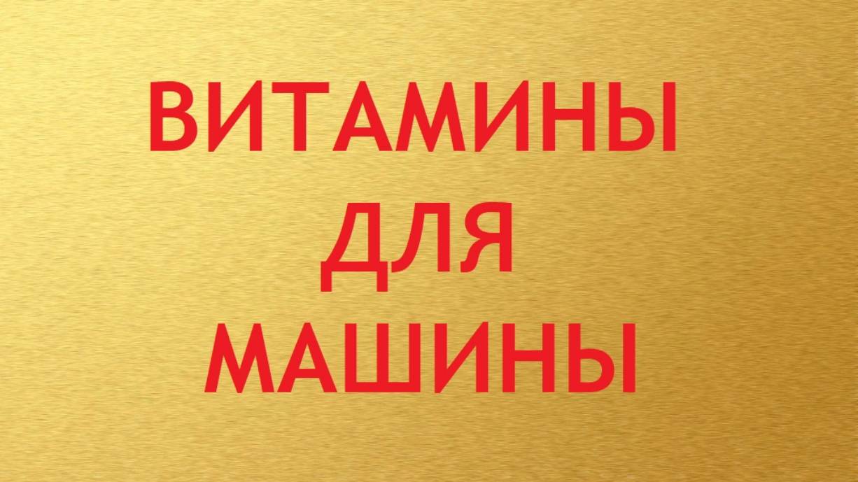 Витамины для машины. Генеральный директор отвечает на вопросы