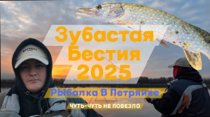 ЗУБАСТАЯ БЕСТИЯ \ РЫБАЛКА В ПЕТРЯИХЕ \ ЧУТЬ-ЧУТЬ НЕ ПОВЕЗЛО