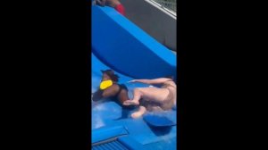 Funny video: универсальный язык юмора для всех зрителей! 🌍