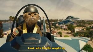 Top Gun with Cats