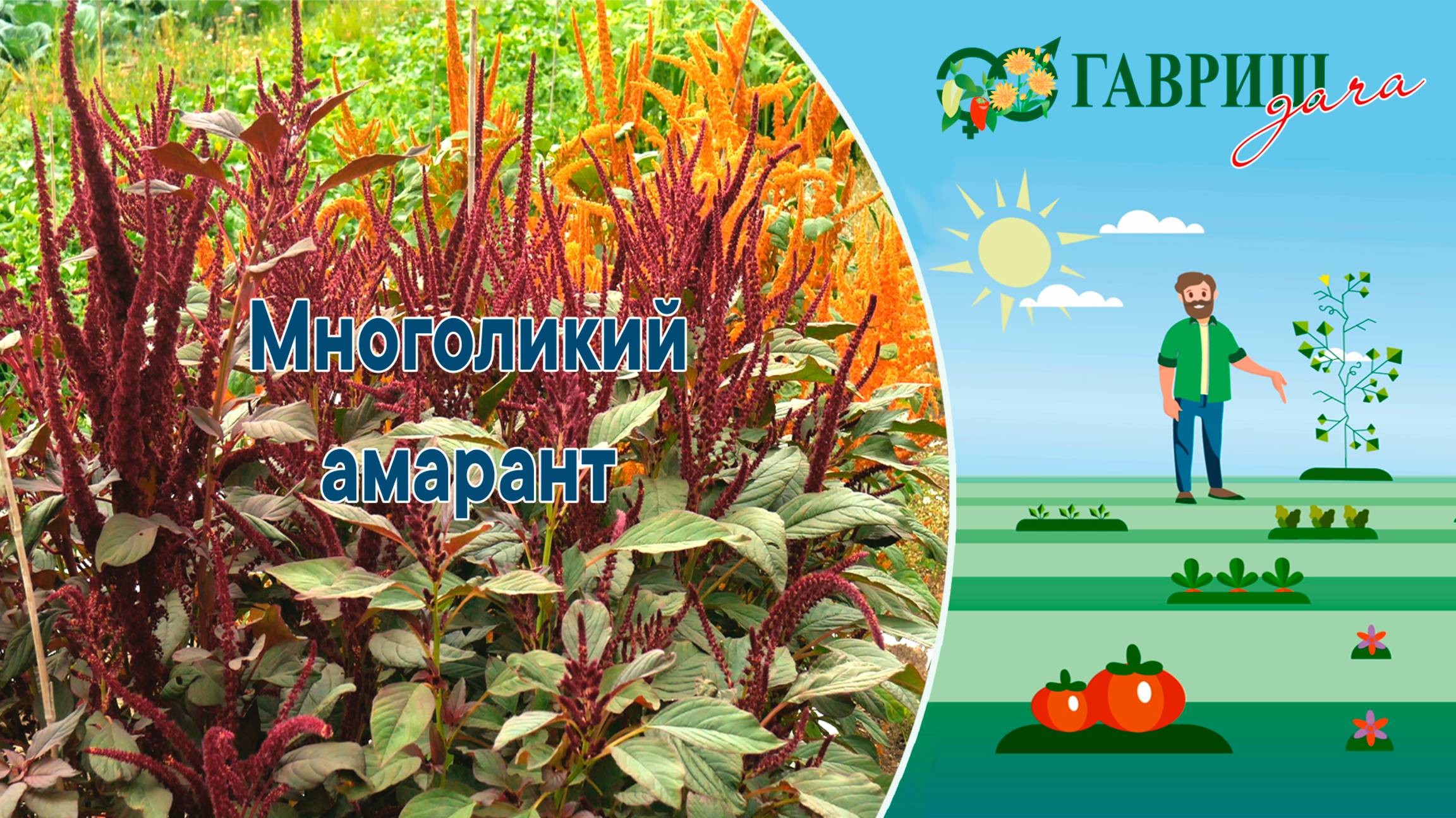 ЗИМНИЙ ДРУГ ЛЮДЕЙ