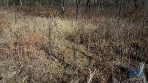 Спокойствие осени.