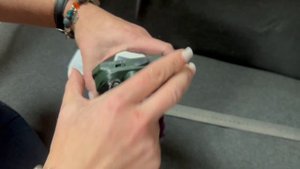 Видеообзор отпугивателя ультразвукового от солнечной батареи Animal repellent