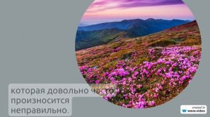 Раскрываем тайны фамилии Амброс: происхождение, история, значение и правильное склонение