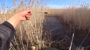 Видео от За Трофеем: Охота и Рыбалка