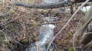 Местные рыбаки продолжают делиться с нами кадрами реки Каквы