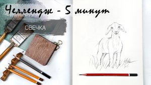 Овечка за 5 минут простым карандашом. Рисуем регулярно. Быстрые наброски