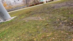 Временные остановки у метро Строгино